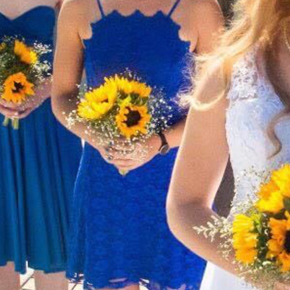 Cobalt, lace cocktail dress - Picture 5 of 5